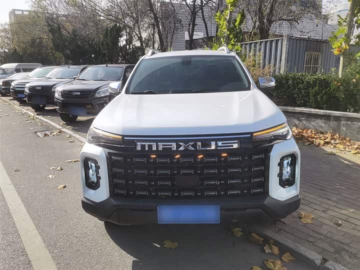 Фото 3 - Maxus Star