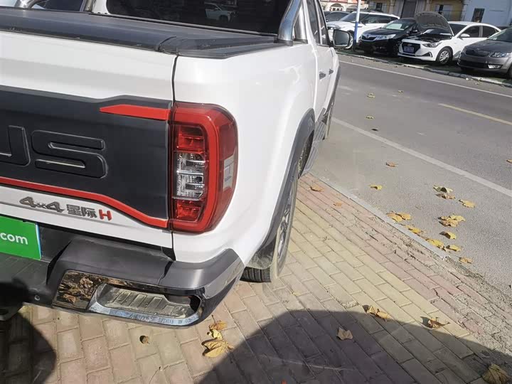 Фото 8 - Maxus Star