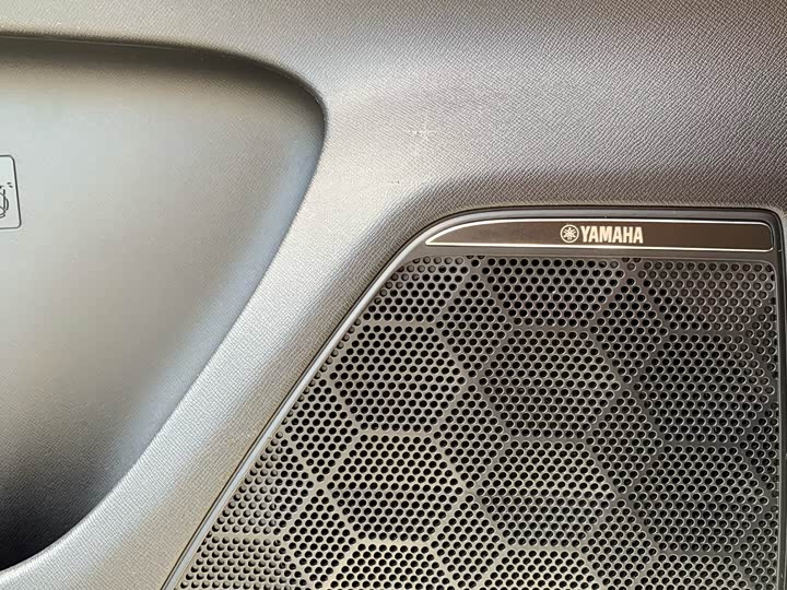 Фото 27 - GAC Trumpchi E9