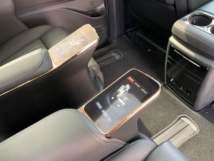 Фото 33 - GAC Trumpchi E9