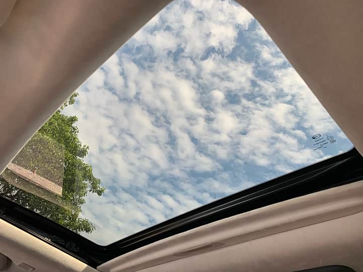 Фото 38 - GAC Trumpchi E9