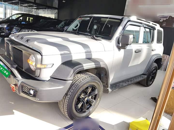 Фото 5 - Tank 300