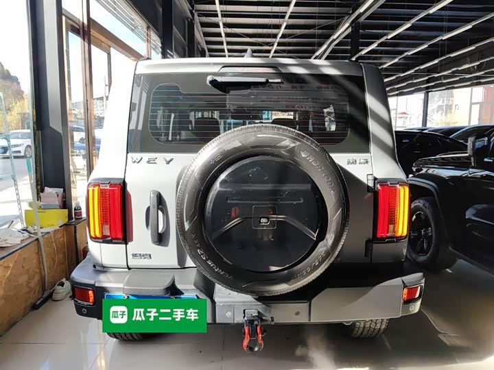 Фото 6 - Tank 300