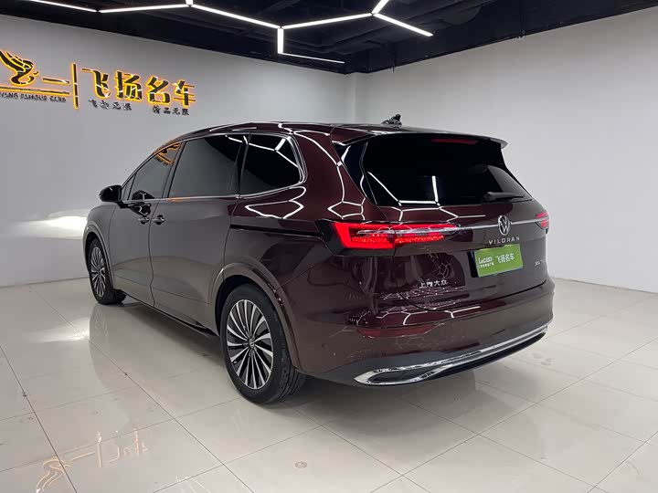 Фото 19 - Volkswagen Viloran