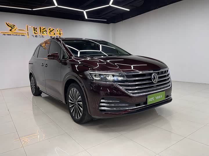 Фото 3 - Volkswagen Viloran