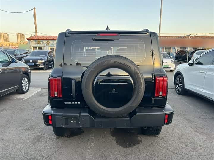 Фото 8 - Tank 300