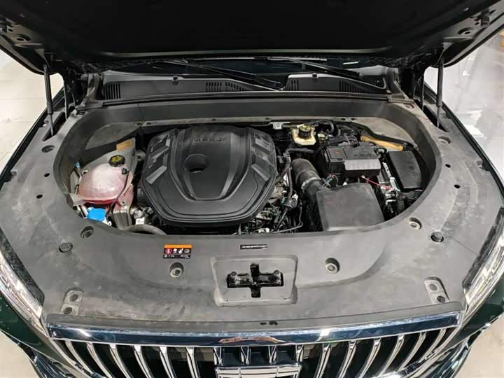 Фото 15 - Geely Monjaro