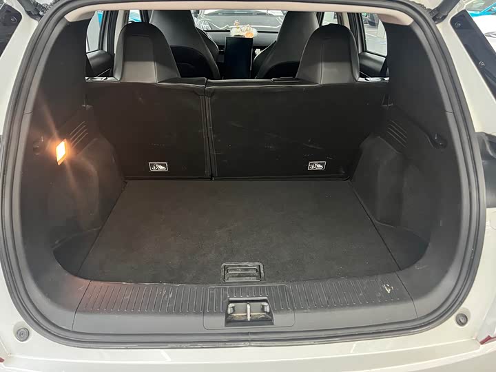 Фото 11 - XPeng G3