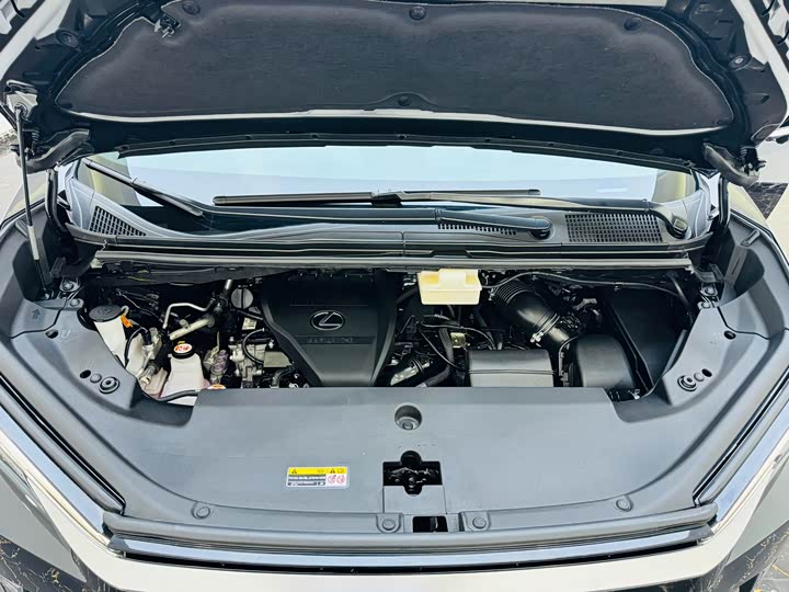 Фото 12 - Lexus LM