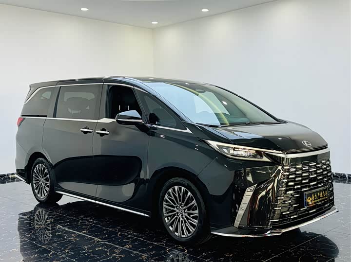 Фото 3 - Lexus LM