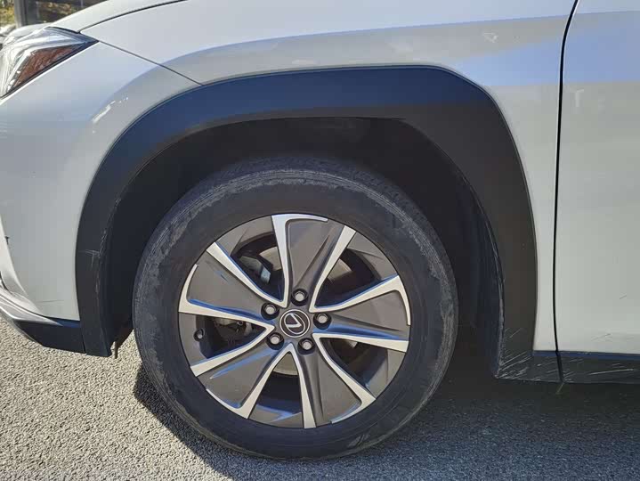 Фото 12 - Lexus UX Hybrid