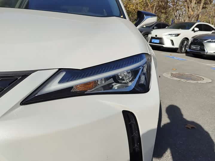 Фото 13 - Lexus UX Hybrid