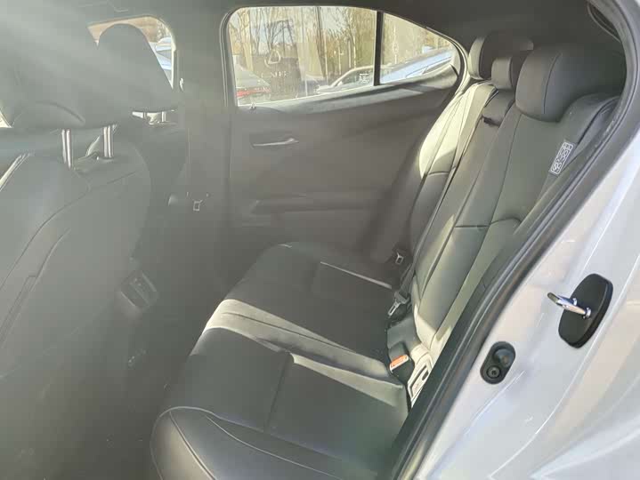 Фото 6 - Lexus UX Hybrid