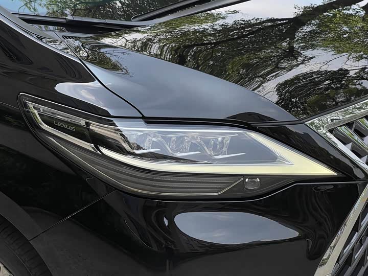 Фото 42 - Lexus LM