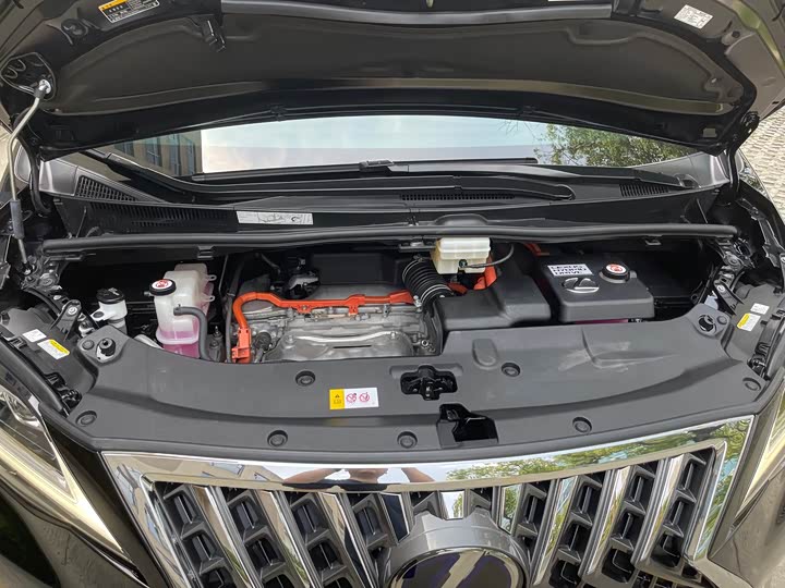 Фото 44 - Lexus LM