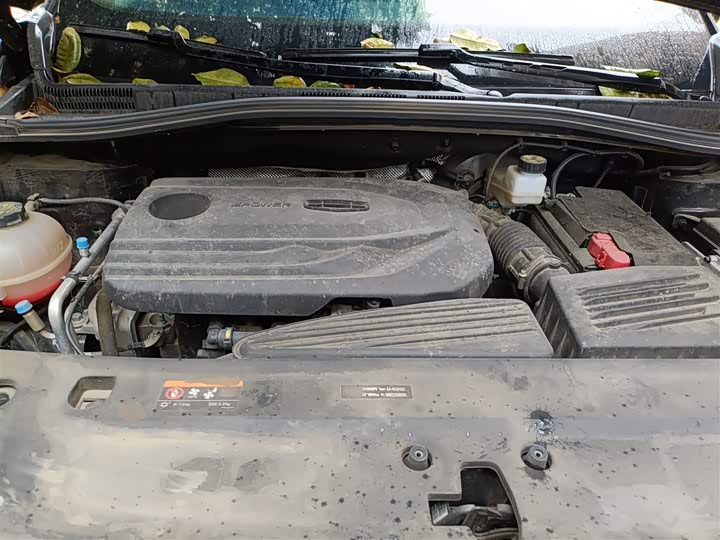 Фото 11 - Geely Okavango