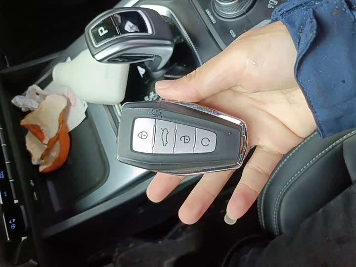 Фото 12 - Geely Okavango