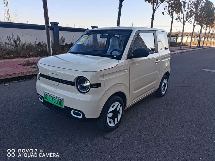 Фото 1 - Geely Galaxy Panda Mini