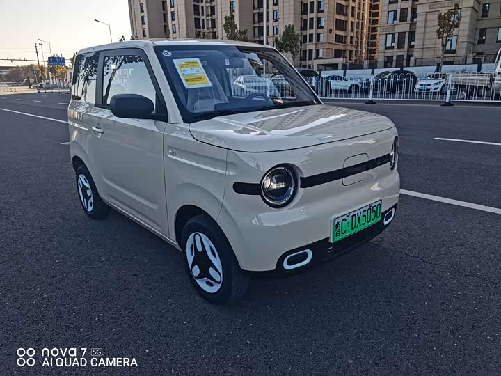 Фото 2 - Geely Galaxy Panda Mini