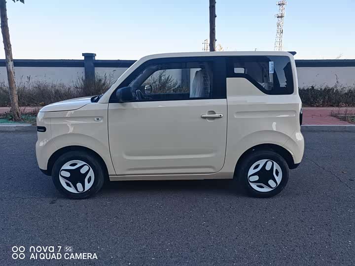 Фото 3 - Geely Galaxy Panda Mini