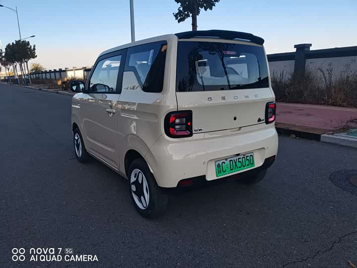 Фото 4 - Geely Galaxy Panda Mini