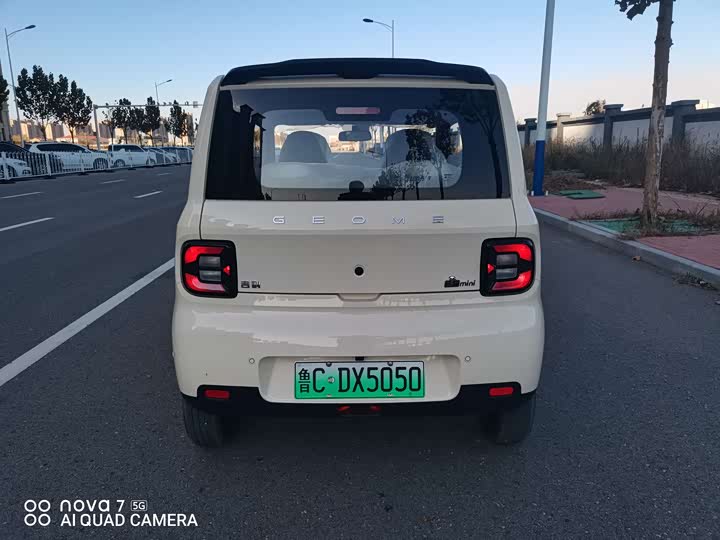 Фото 5 - Geely Galaxy Panda Mini