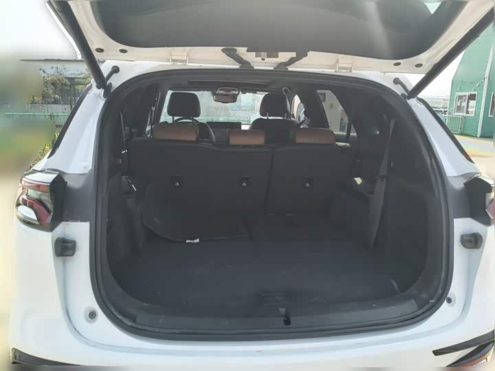 Фото 10 - BYD Tang Hybrid/EV