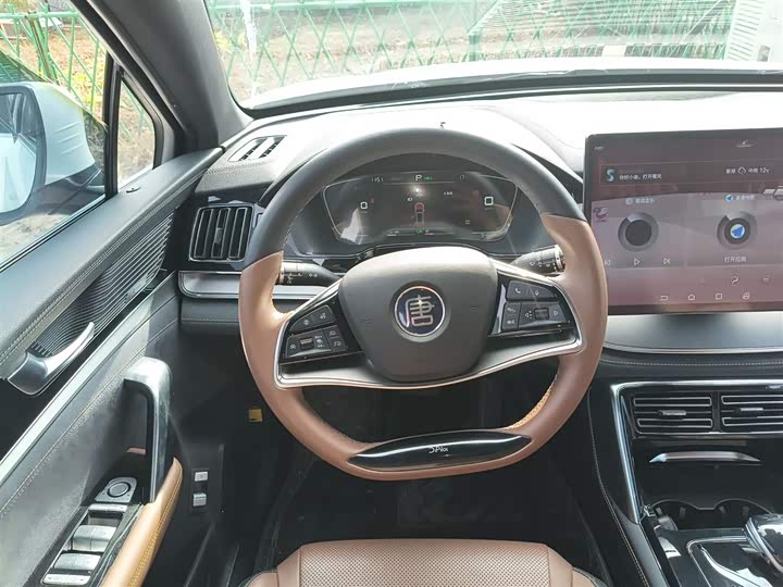 Фото 3 - BYD Tang Hybrid/EV