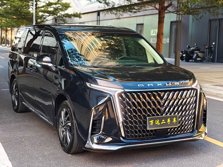 Фото 3 - Maxus G90