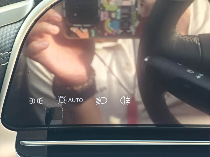 Фото 33 - Maxus G90