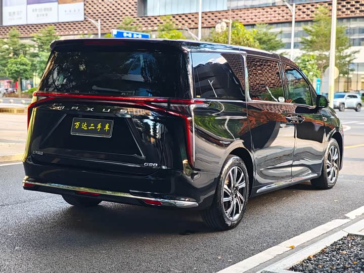 Фото 6 - Maxus G90