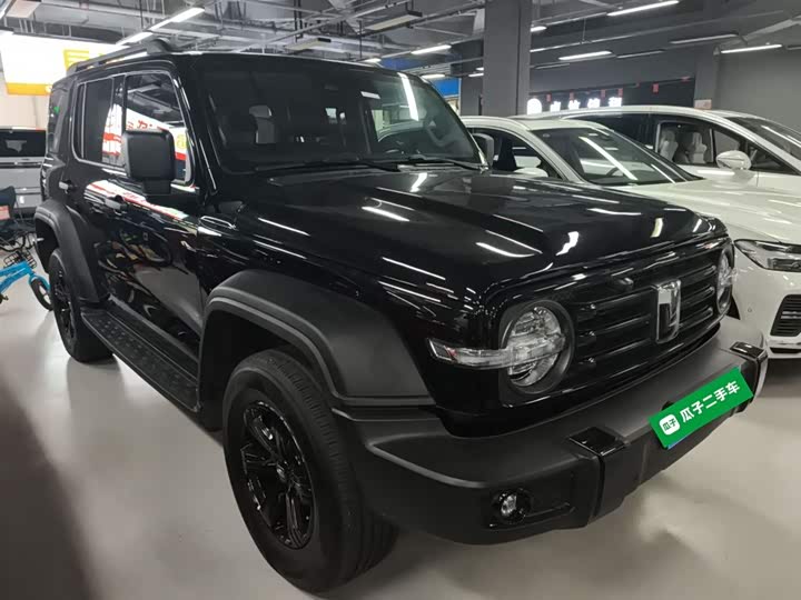 Фото 4 - Tank 300