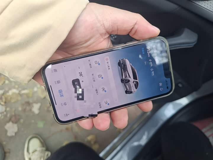 Фото 12 - BYD Destroyer 05