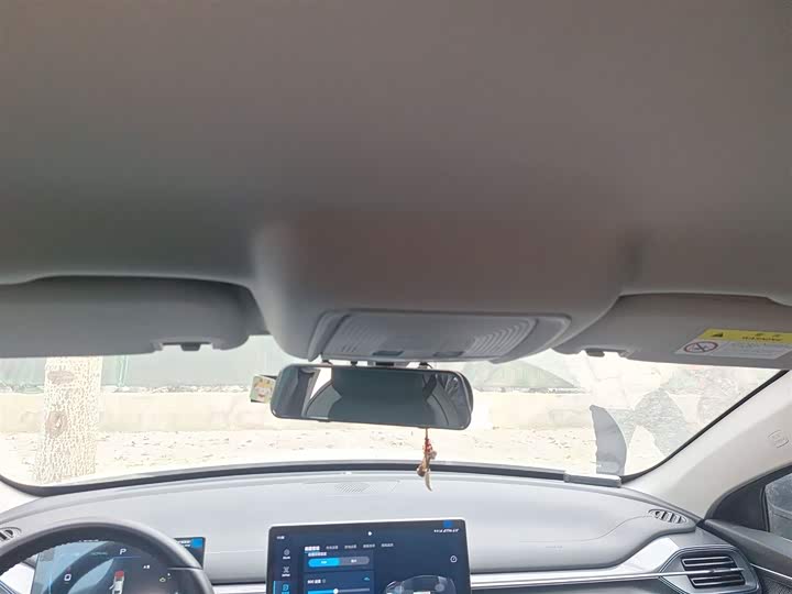 Фото 9 - BYD Destroyer 05