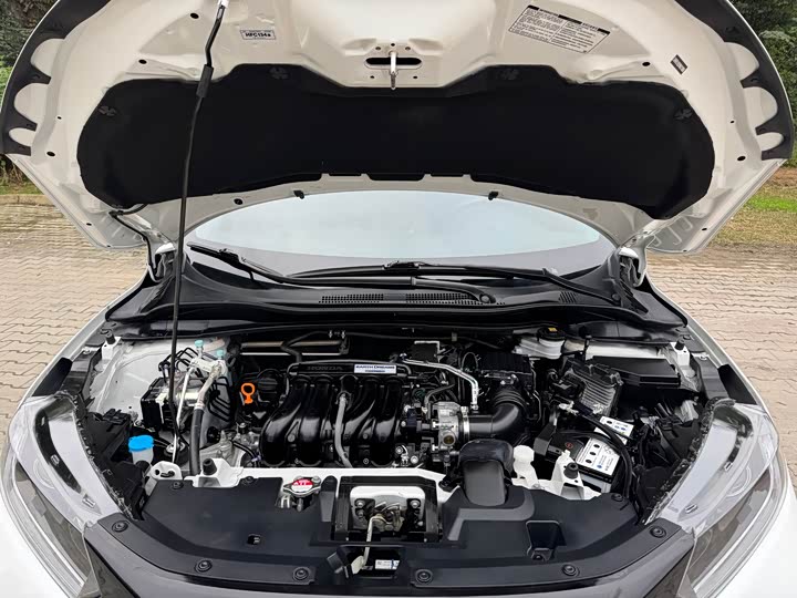 Фото 6 - Honda XR-V