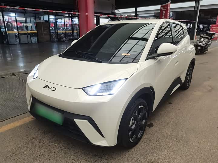 Фото 2 - BYD Seagull