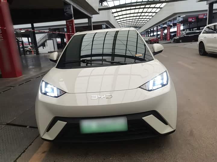 Фото 3 - BYD Seagull