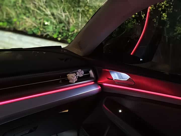 Фото 24 - Volkswagen Lamando L