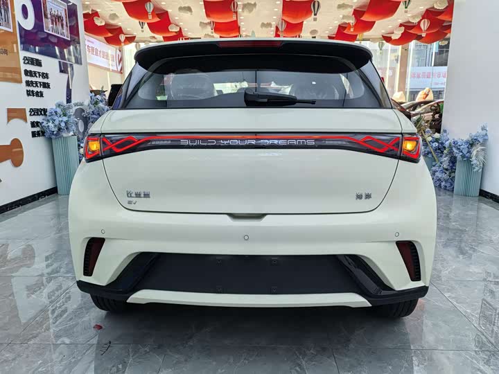 Фото 10 - BYD Dolphin