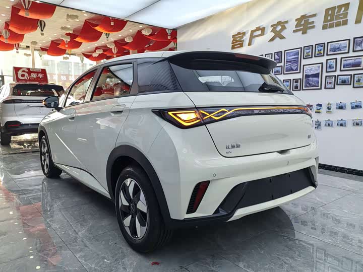 Фото 11 - BYD Dolphin