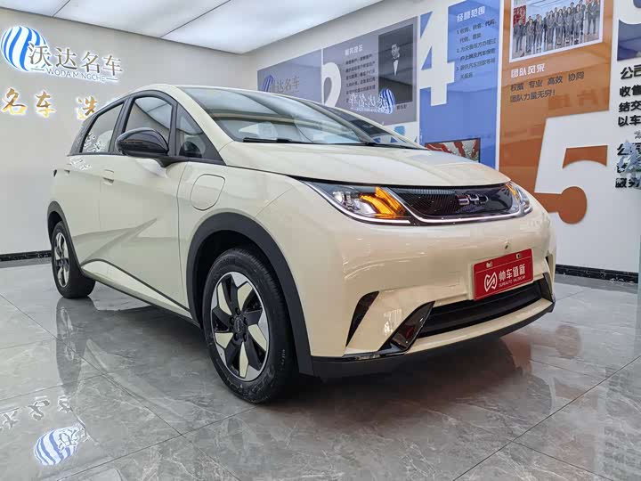 Фото 2 - BYD Dolphin