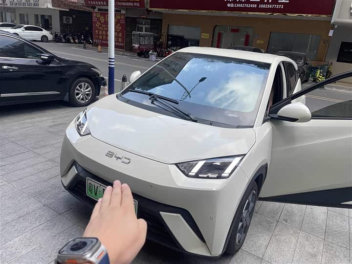 Фото 1 - BYD Seagull