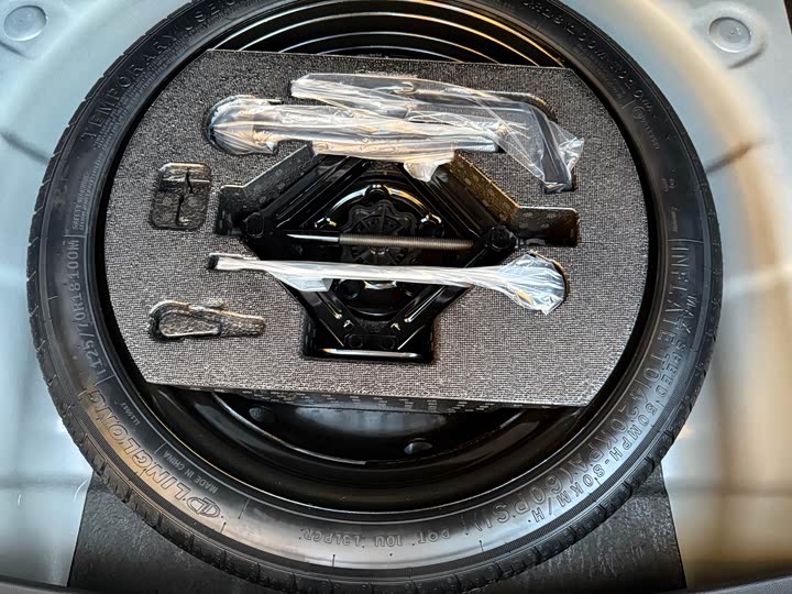 Фото 13 - GAC Trumpchi Empow R