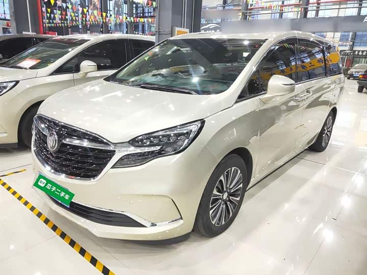 Фото 1 - Buick GL8 ES