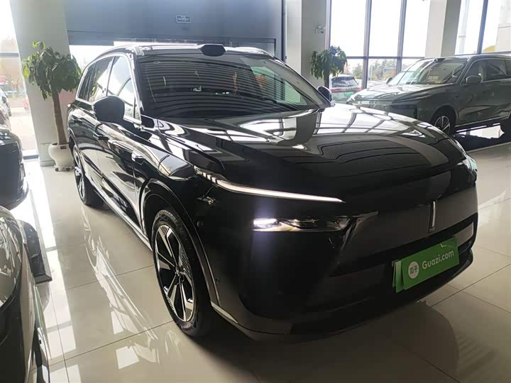 Фото 4 - Wey Lanshan