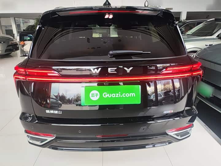 Фото 6 - Wey Lanshan