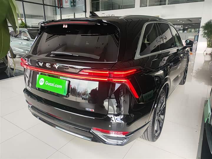 Фото 7 - Wey Lanshan