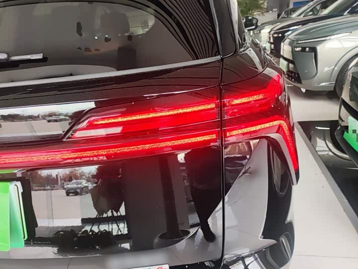 Фото 8 - Wey Lanshan