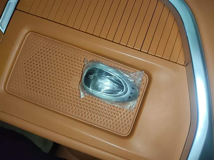 Фото 9 - Wey Lanshan