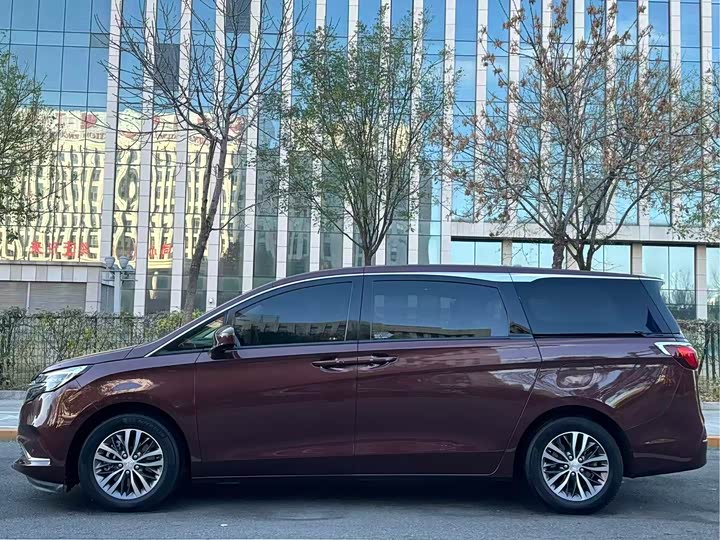 Фото 5 - Buick GL8 ES